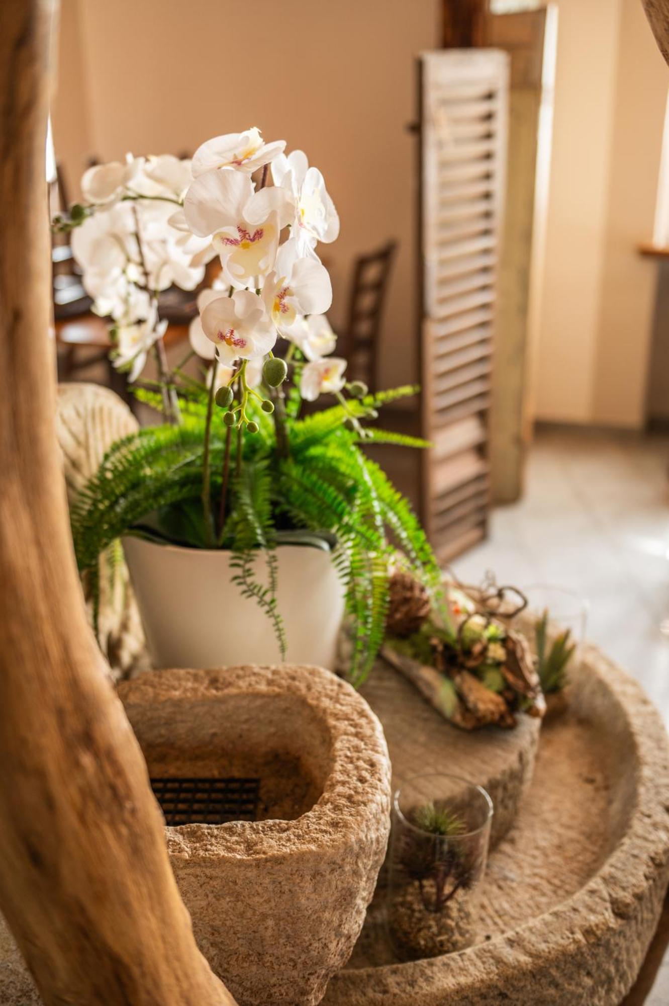 Locanda Poncini Maggia Luaran gambar